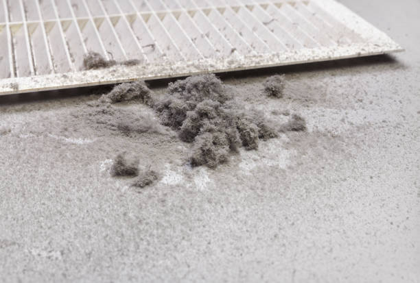 Best Air Vent Cleaning Services  in Whitwell, TN